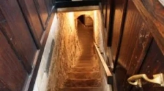 Placi de botte: cu ce ​​și cum să scapi de